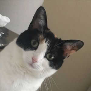 Meet your Posher, Wendy